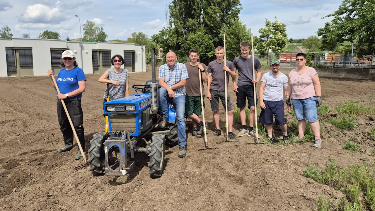 Bald kann das Gras im Kolping Wohnhaus sprießen