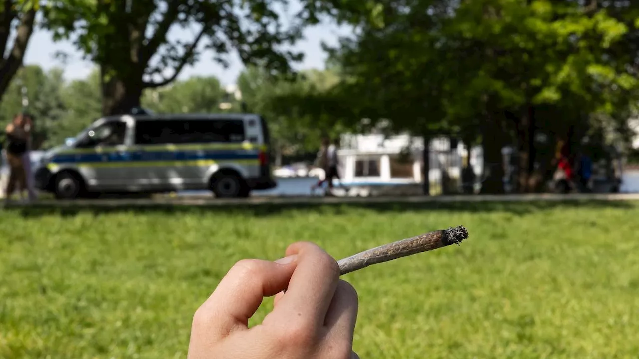 Berlin & Brandenburg: Cannabis-Gesetz mit Amnestie: Bereits 65 Strafen verringert