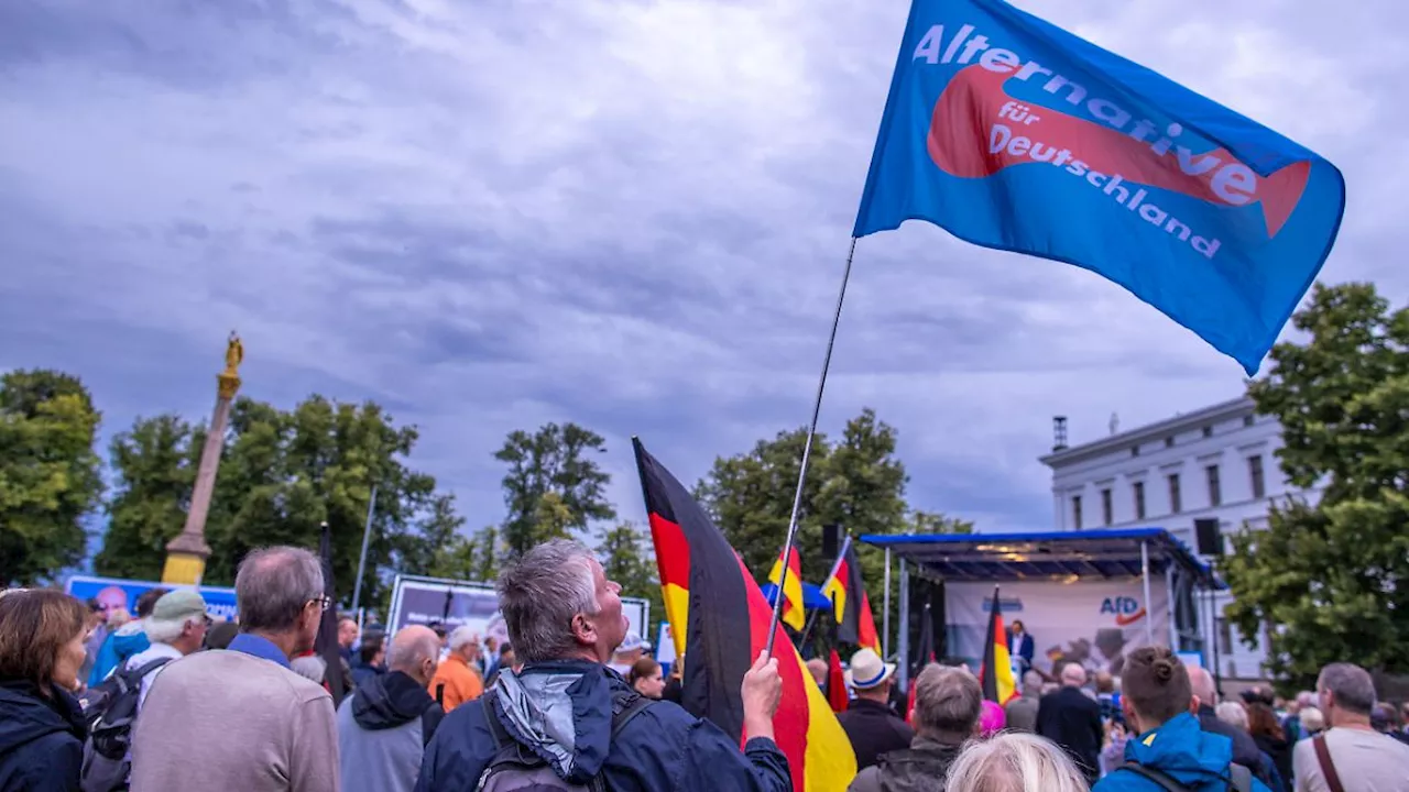 'Es gibt Kritik': Wie teuer wird für Unternehmen eine Anti-AfD-Haltung?