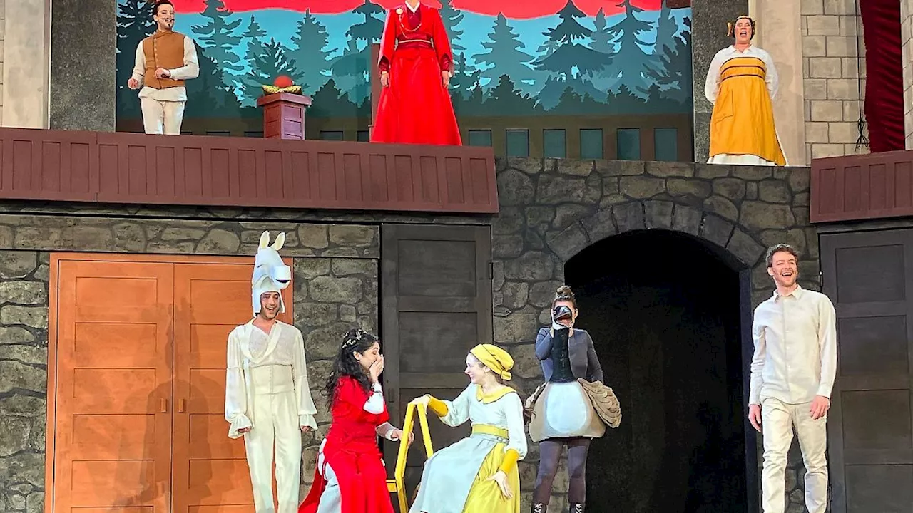 Hessen: Grimm Festspiele feiern mit 'Gänsemagd' Jubiläumssaison