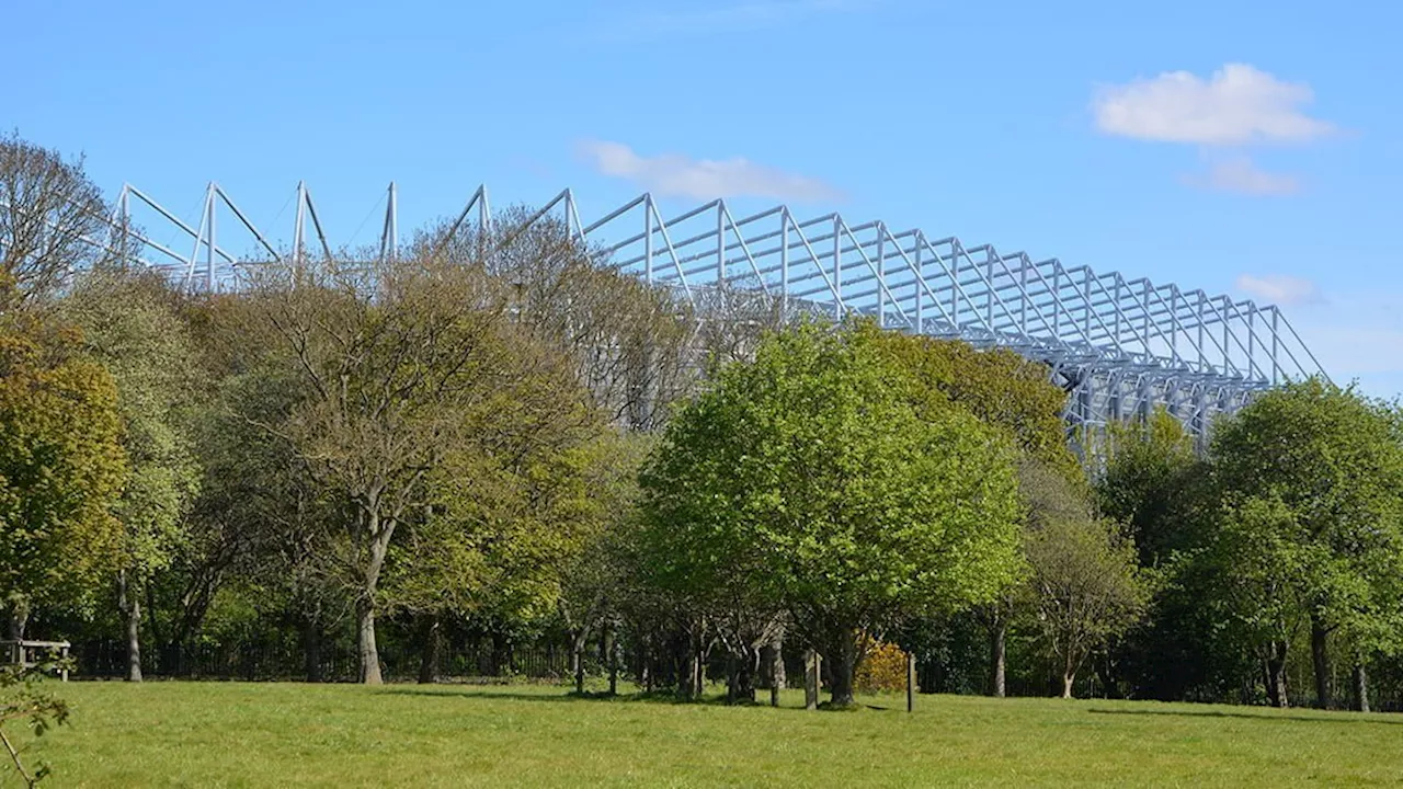 Newcastle 1 Brighton 1 - Instant Newcastle fan / writer reaction