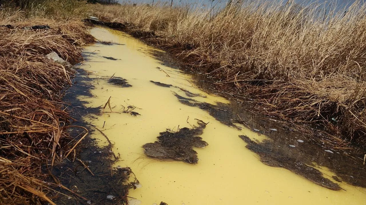 Agricultores denunciarán pozo contaminado con gasolina en Salamanca: “que nos den agua”