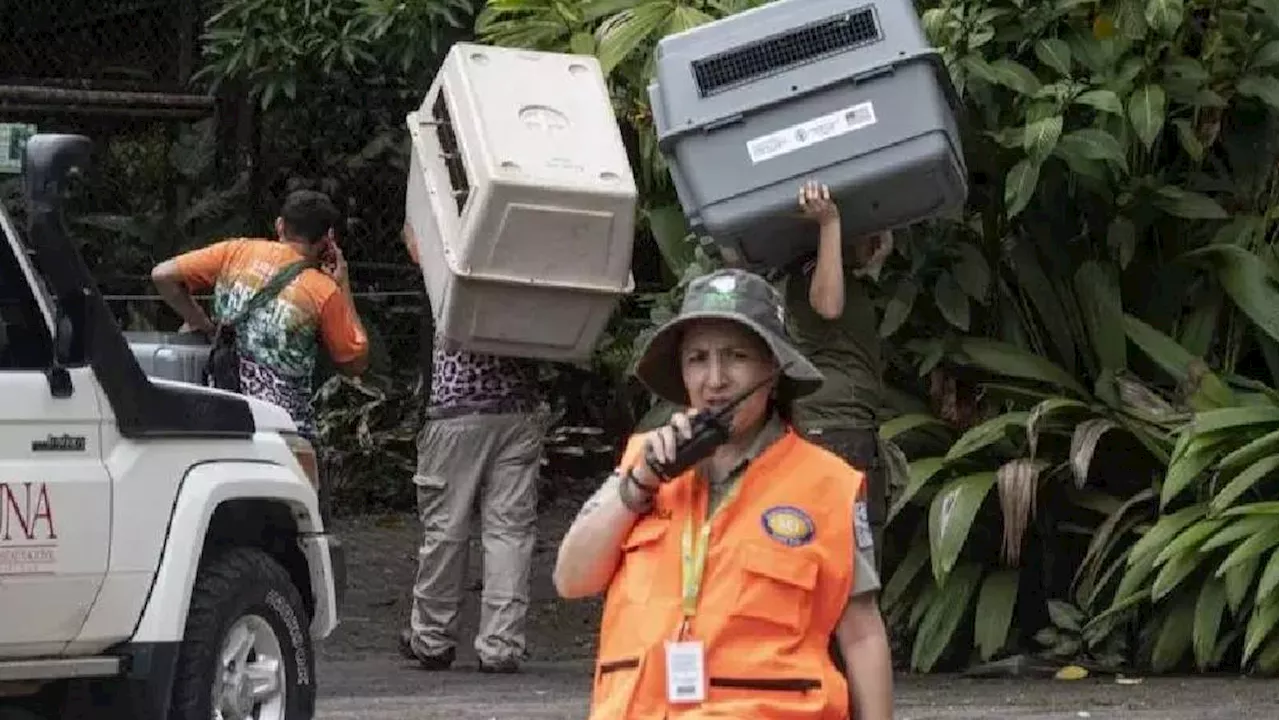 Zoológicos de Costa Rica cierran y trasladan a refugios a 287 animales