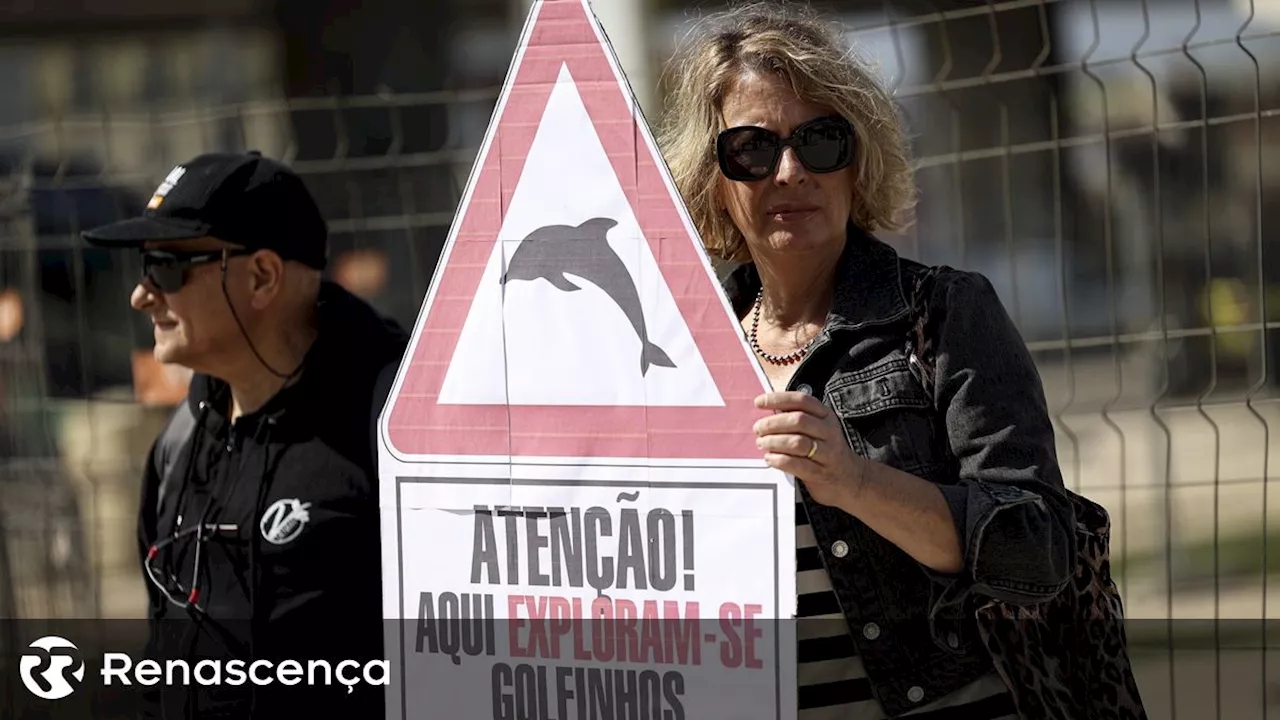 ​PAN quer acabar com espetáculos com golfinhos