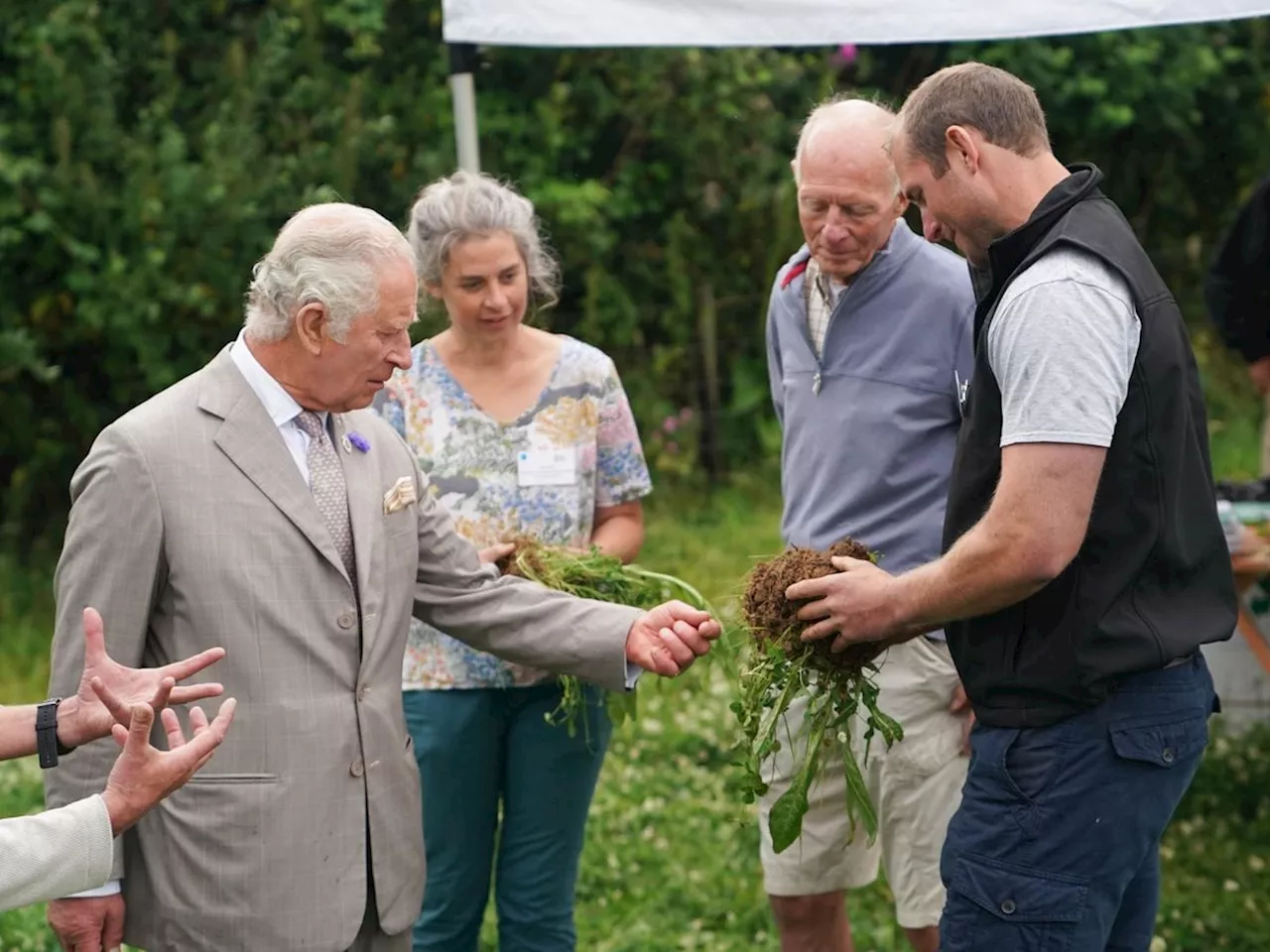 King Charles continues role as patron of food and farming charity