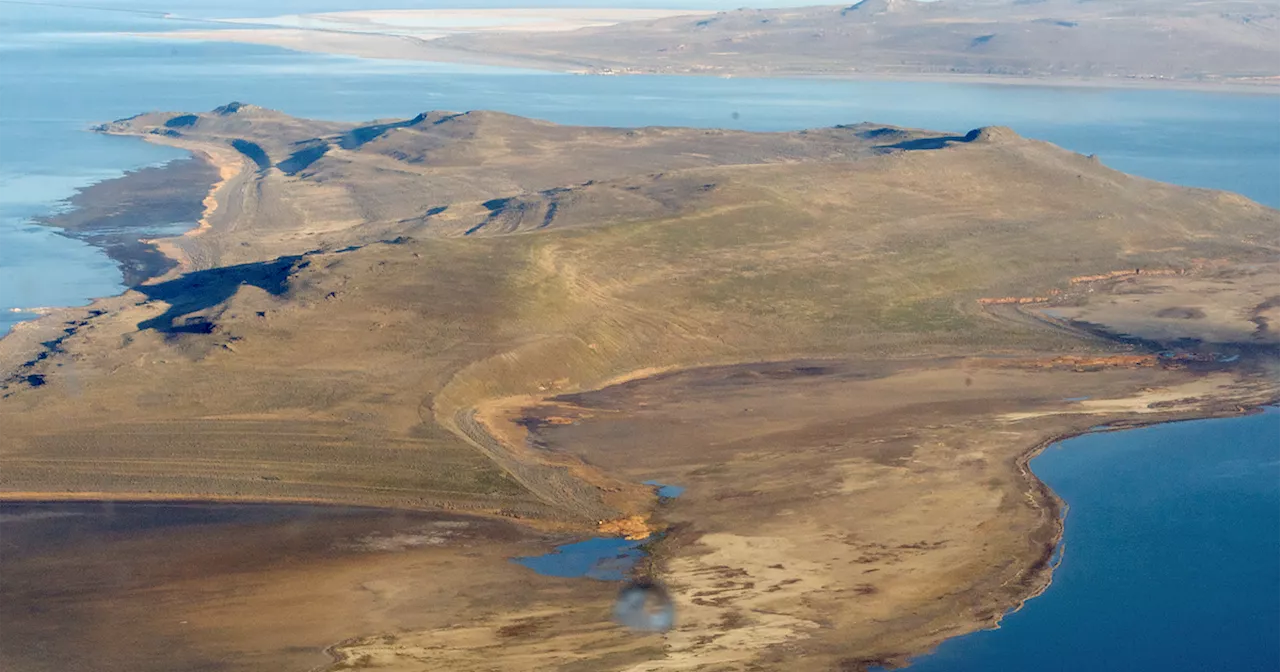 These are the 10 reasons Utahns can save the Great Salt Lake, a state official says