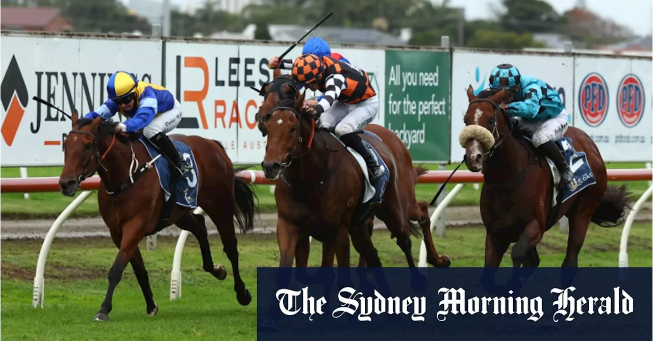 Victorian raider leaves rivals spinning wheels in The Coast