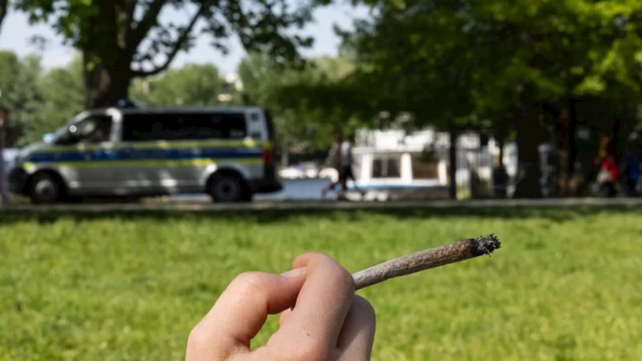 Berlin: Cannabis-Gesetz mit Amnestie: Bereits 65 Strafen verringert