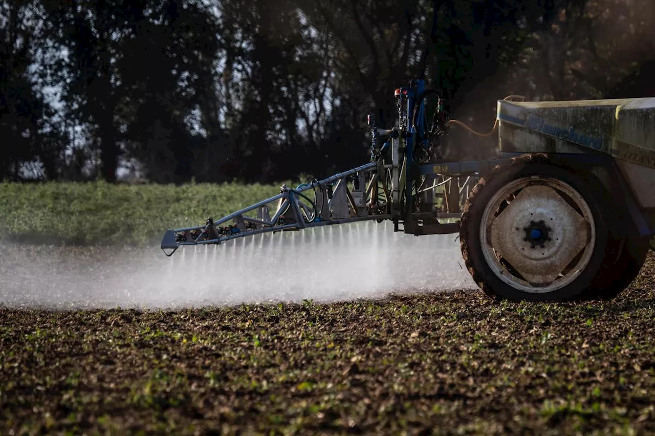 La Rochelle Agglo : une étude met en lumière les zones les plus exposées aux pesticides