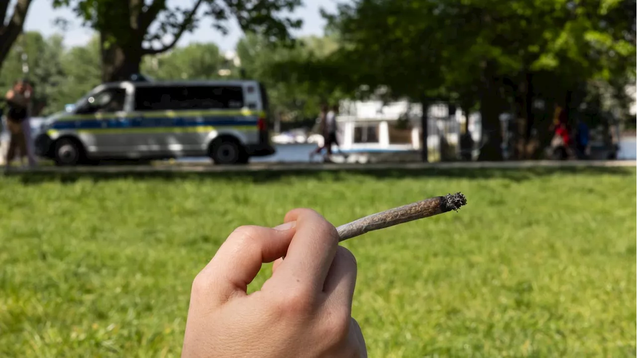 Nach verhängten Urteilen: Cannabis-Gesetz mit Amnestie – bereits 65 Strafen in Berlin verringert