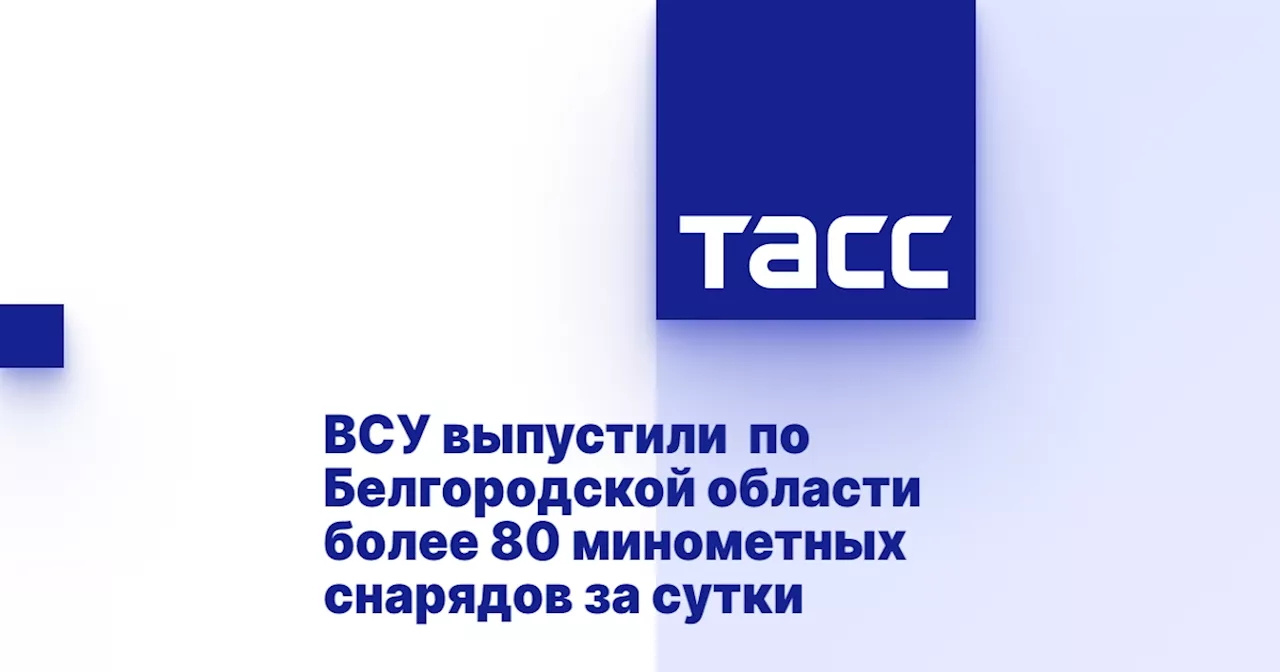 ВСУ выпустили по Белгородской области более 80 минометных снарядов за сутки