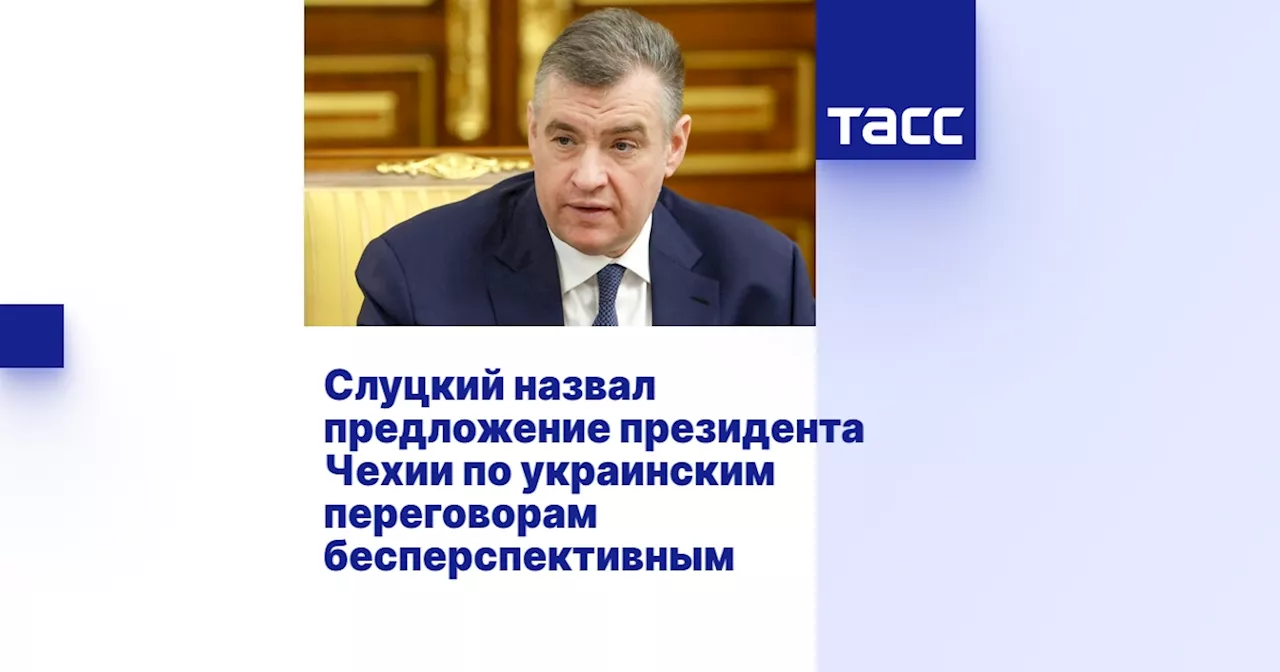 Слуцкий назвал предложение президента Чехии по украинским переговорам бесперспективным