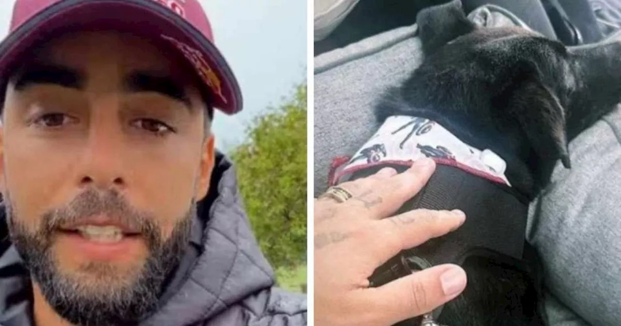 Pedro Scooby adota cachorro no RS e volta para o RJ após ajudar em resgates