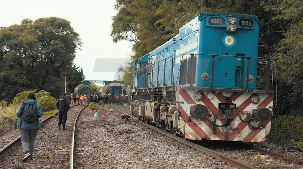 Del Pollo Sobrero a Gregorio Dalbón, el accidente de trenes en Palermo reavivó el carancheo político