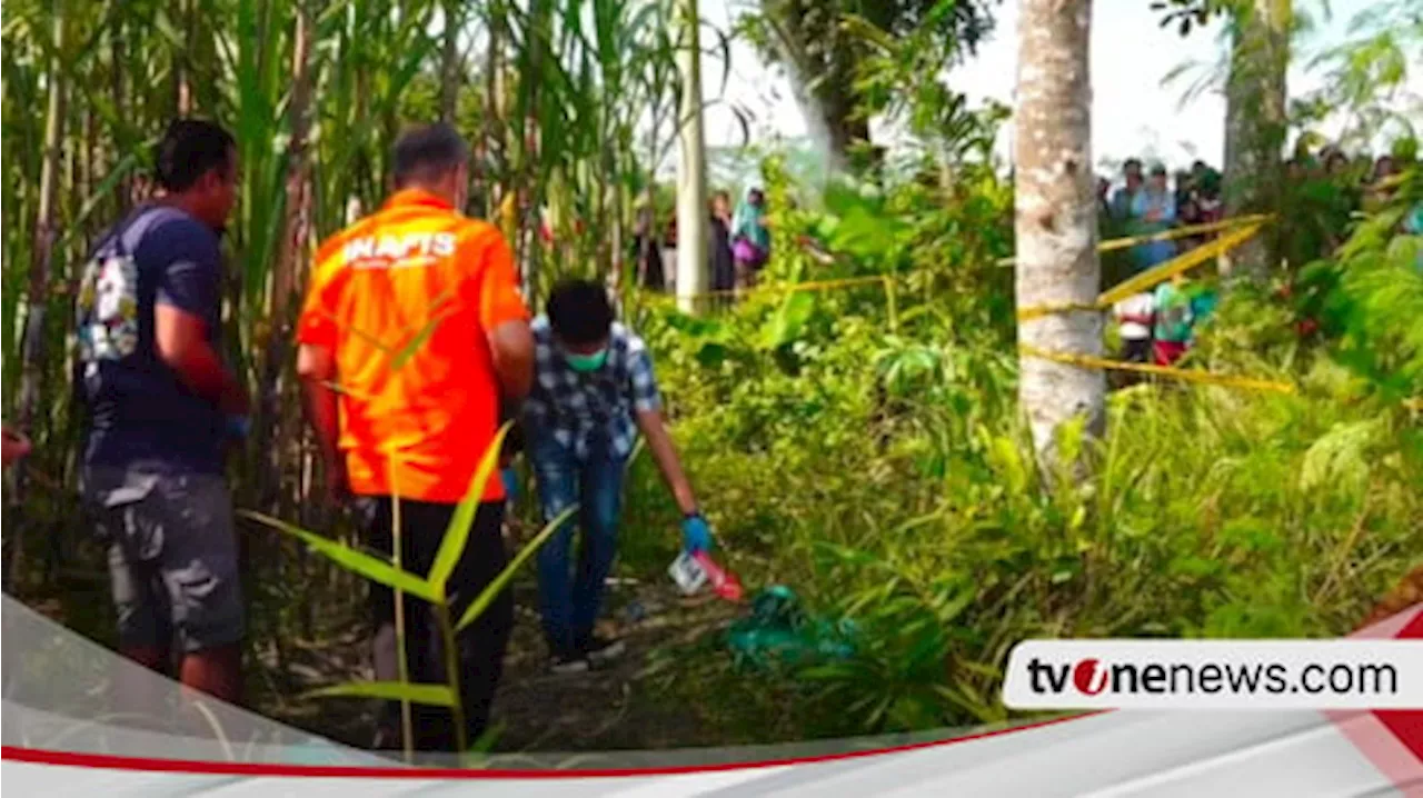 Heboh Penemuan Mayat Bayi Terbungkus Tas Sekolah di Kebun Tebu Lumajang