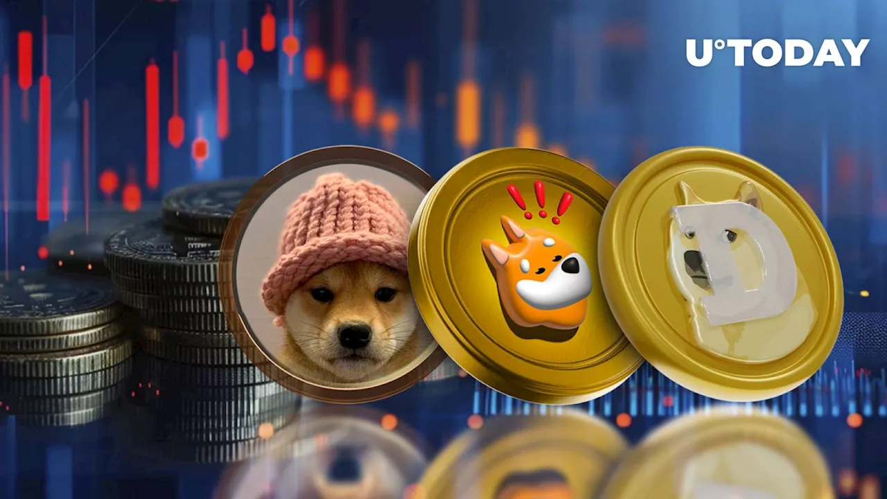 Meme Coins Losing Value: BONK, WIF, DOGE Under Pressure