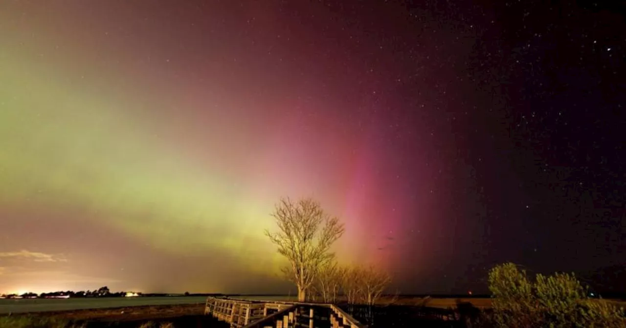 Video: avistan auroras boreales tras tormenta solar que golpeó a la tierra