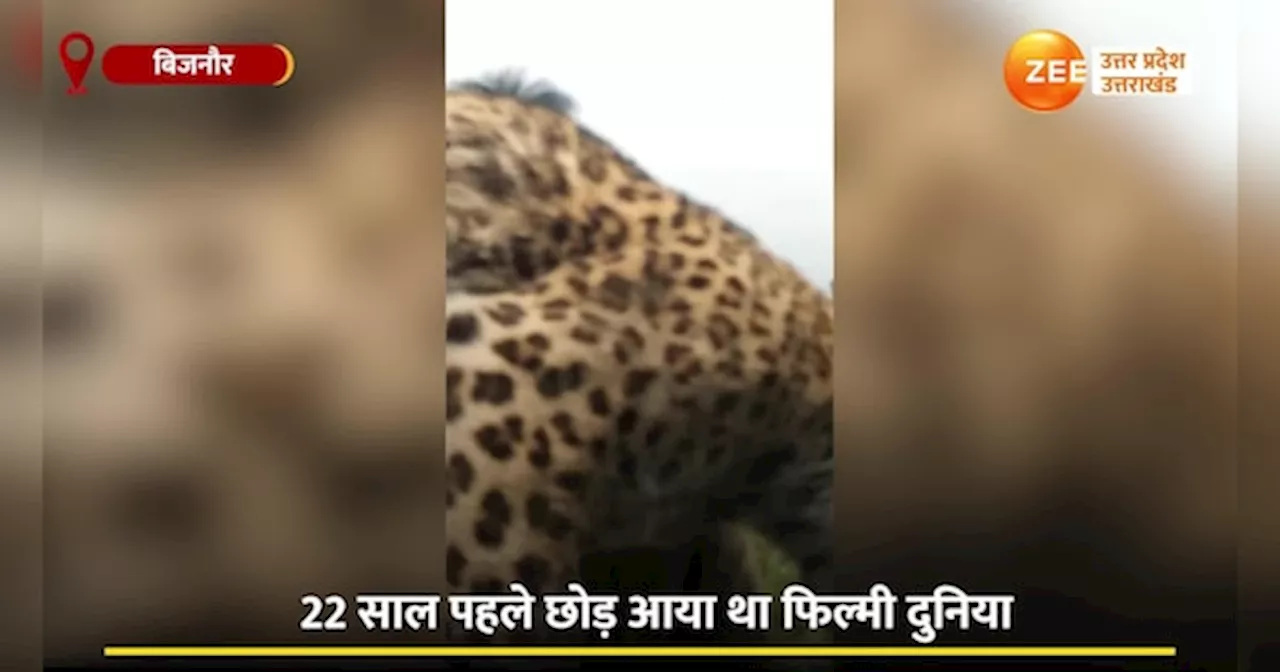 Bijnor Video: खूंखार को कंधे पर उठाया, टीवी एक्टर का रियल रोल देख लोगों के उड़े होश