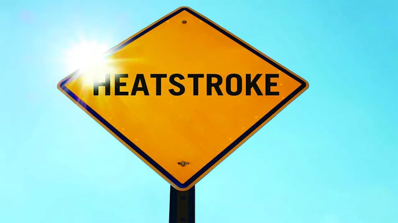 Heatstroke: હીટ સ્ટ્રોકના જોખમને ટાળે છે આ 5 આયુર્વેદિક જડીબુટ્ટી, જાણો કઈ છે આ વસ્તુઓ અને કેવી રીતે કરવો ઉપયોગ