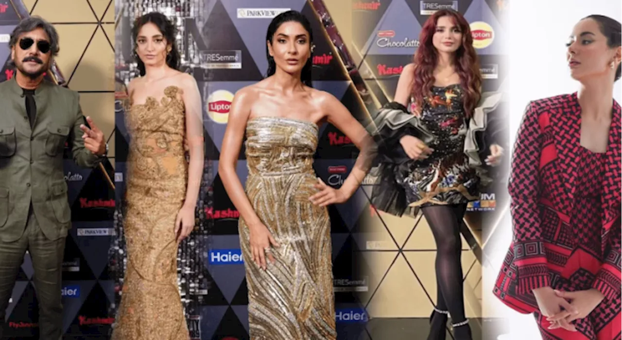 Stars gliter Kashmir Hum Style Awards 2024 red carpet night, exude glitz & glam