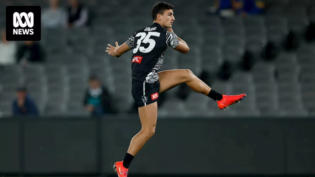 AFL round nine Collingwood vs West Coast, Adelaide vs Brisbane live updates, blog scores and stats