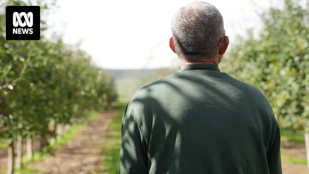 Viticulturist uses former prison farm workers to fill labour gap in Mt Barker, WA