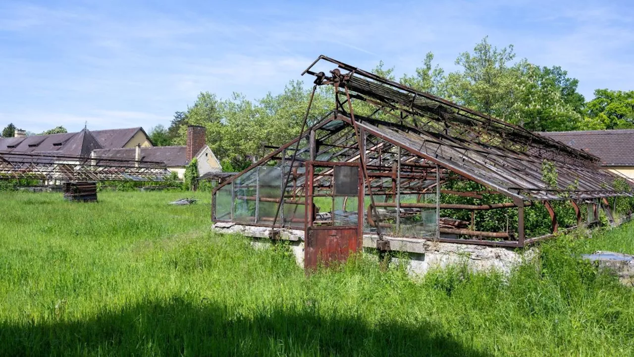 'Codename Kräutergarten': Filmprojekt zu SS-Plantage