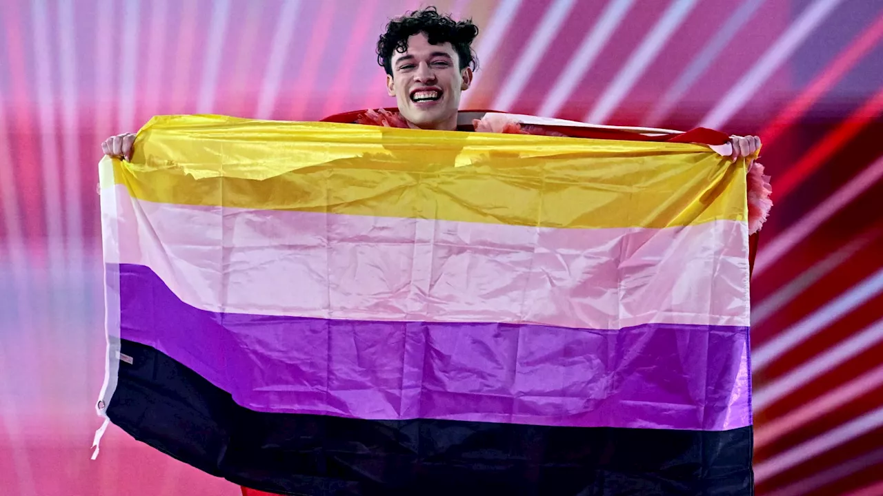 Eurovision 2024: que signifie le drapeau que portait l'artiste suisse Nemo sur scène?