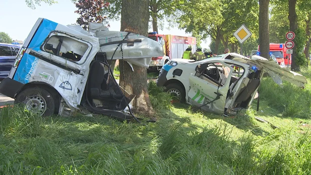 Kleve: Transporter kracht gegen Baum und wird in zwei Teile zerrissen