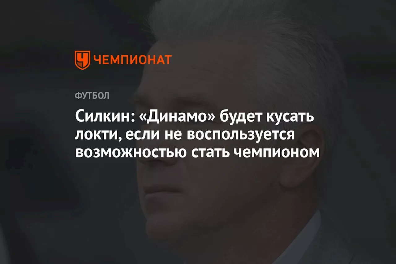 Силкин: «Динамо» будет кусать локти, если не воспользуется возможностью стать чемпионом