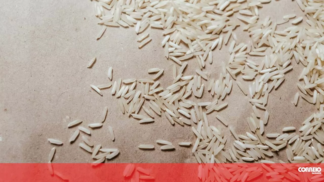 Aumento do preço do arroz afeta negócios na Guiné-Bissau