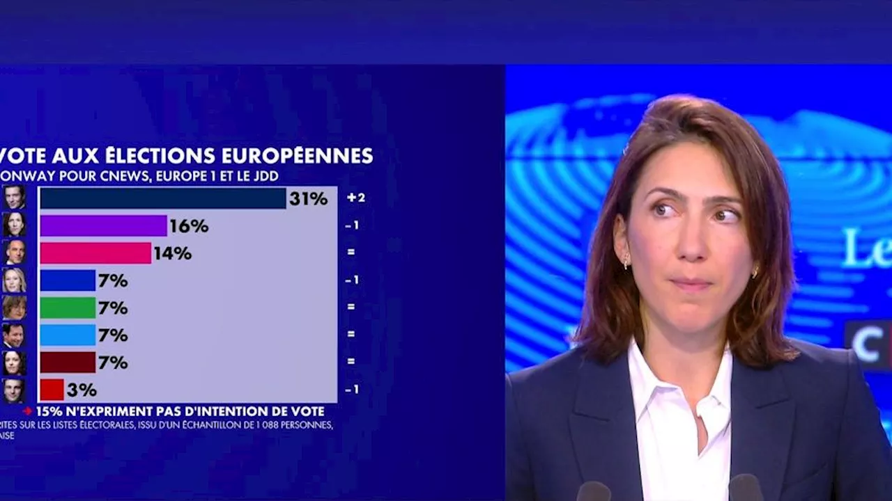 Elections européennes 2024 : pour Valérie Hayer, «Raphaël Glucksmann est l’arbre qui cache la Nupes»