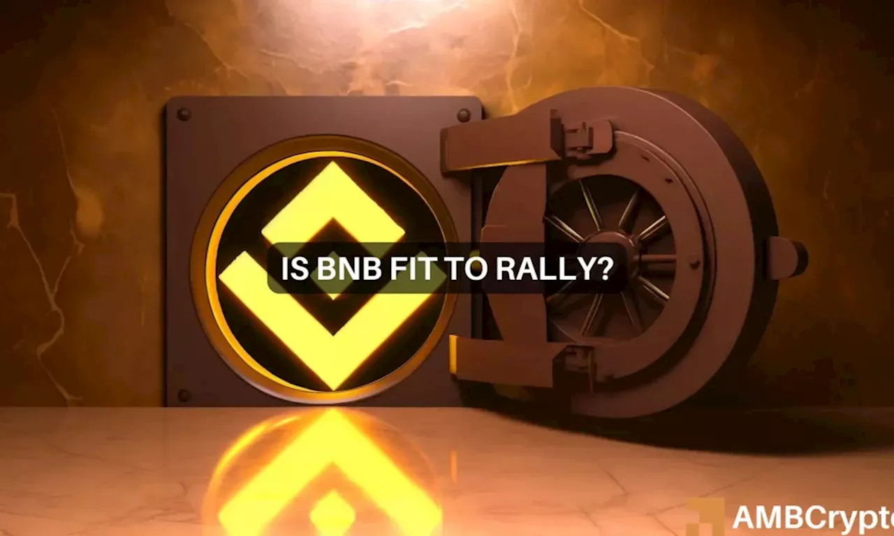 BNB Chain DEX volume surges – Examining what it means for BNB’s price