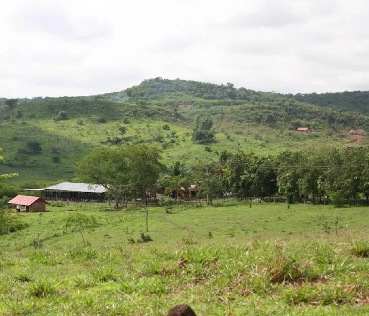 Procuraduría atendió a víctimas de despojo forzado de tierras en Bolívar y Sucre