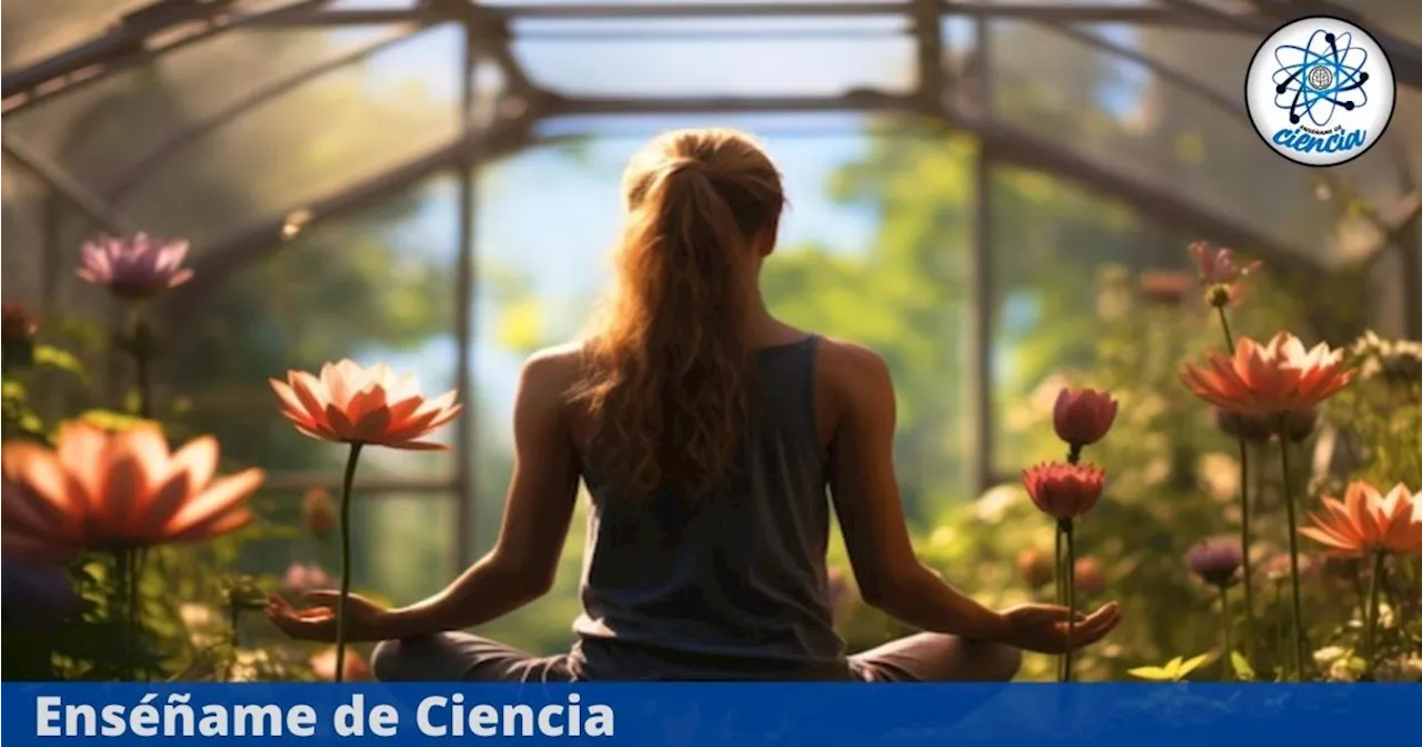 Aprende yoga desde cero con este curso GRATUITO y en línea; otorga certificado