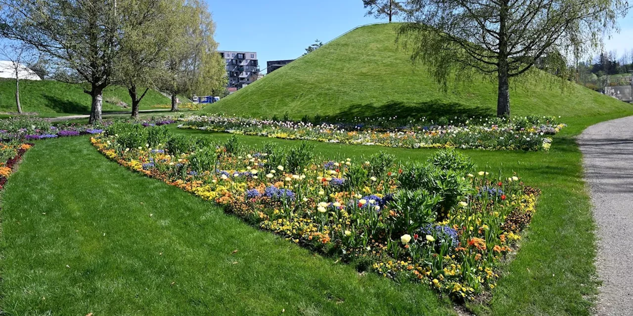 4 Euro für Wasser, 5 für Bier - Besucher von Landesgartenschau schäumen vor Wut