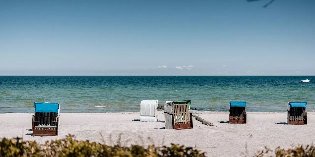 Forscher in Sorge: Gefährliches Gift Thallium droht Ostsee zu verseuchen