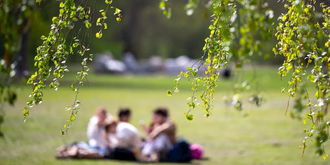 Wetter in Deutschland: Sonniger Sonntag in Thüringen - heiterer Wochenstart