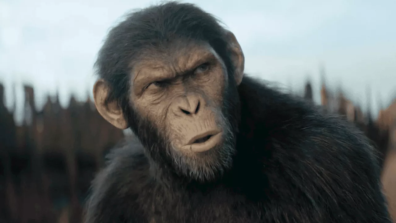 Open Channel: Tell Us Your Thoughts on Kingdom of the Planet of the Apes
