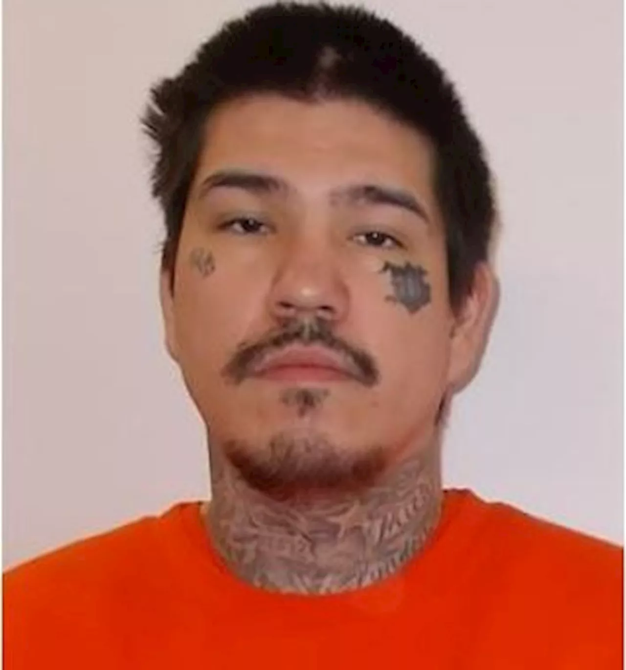 Calgary police turn to public to help locate man wanted on warrants