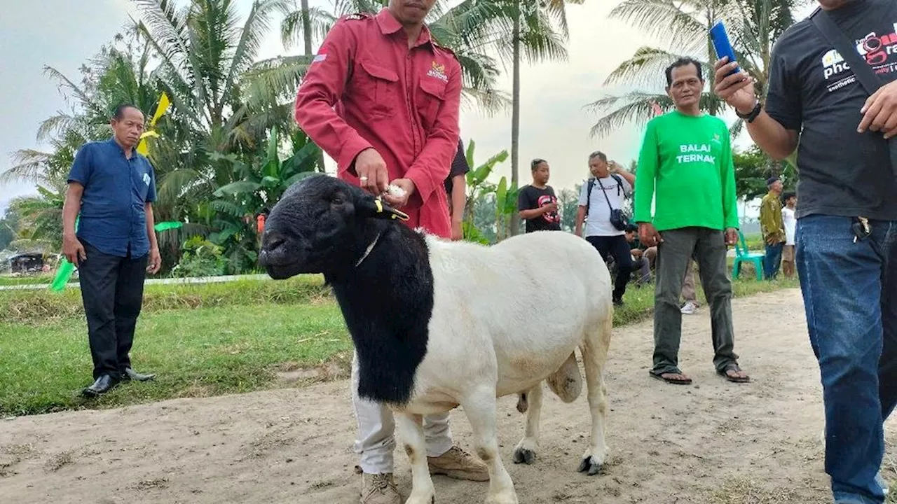 Baznas Berharap Dilibatkan Jadi Mitra untuk Melaksanakan Program Makan Siang Gratis