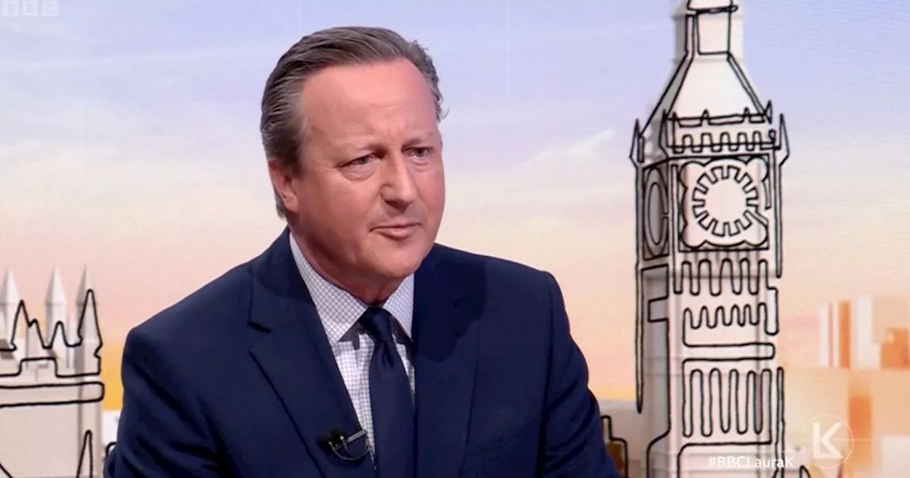 David Cameron Says Banning UK Arms Sales To Israel Would Strengthen Hamas