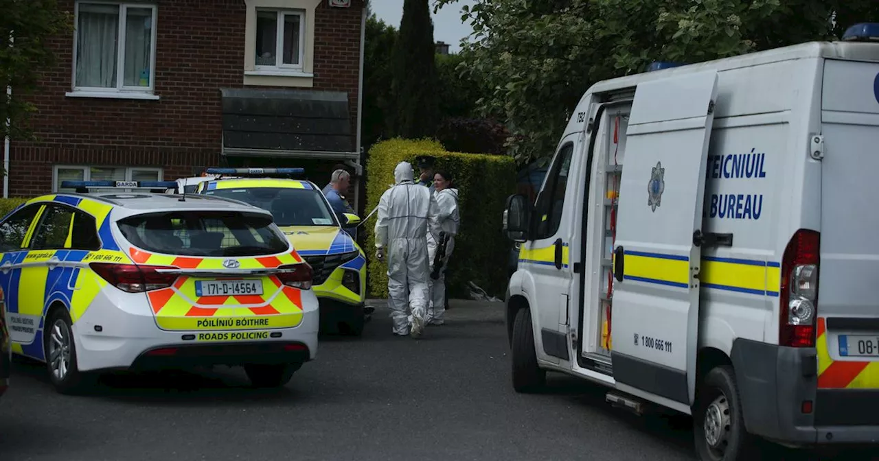 Garda murder probe as man dies 'after being stabbed in chest during party'