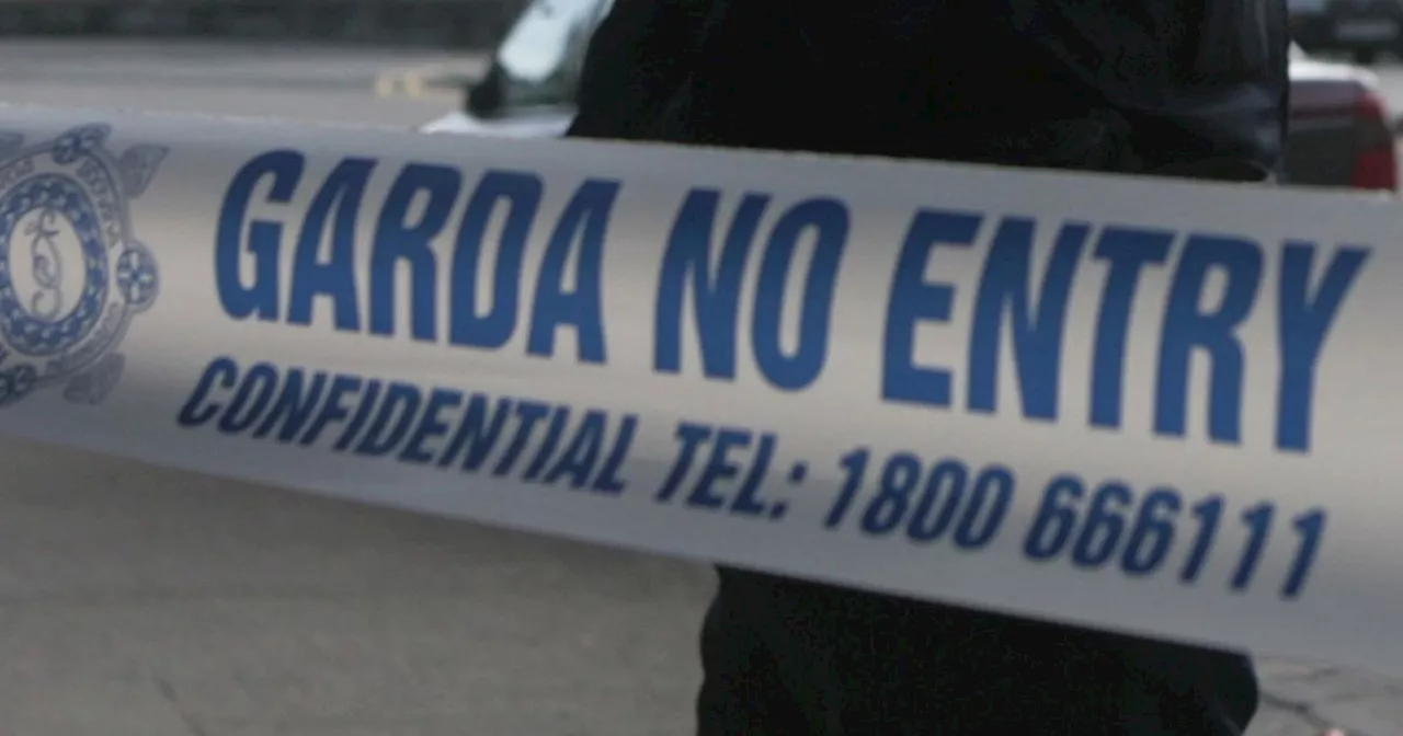 Gardai launch murder investigation as man found dead following suspected assault