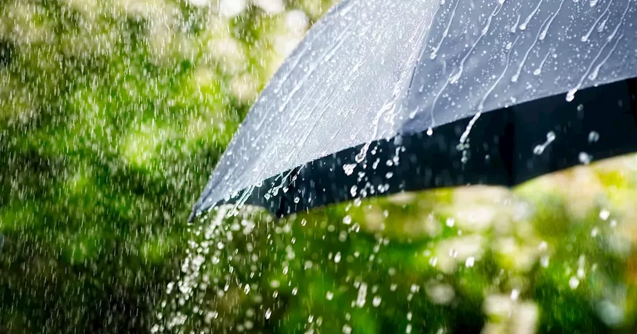 Status Yellow weather warning issued for three counties as downpour approaches