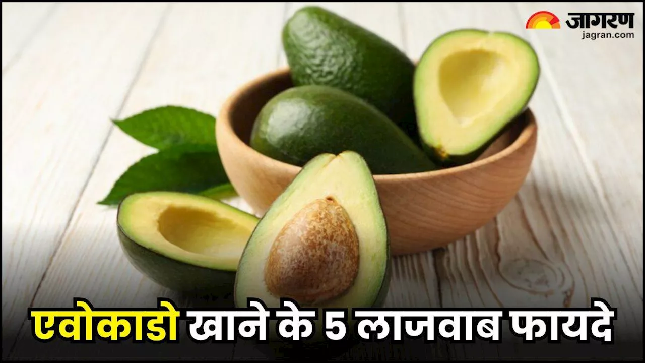 Benefits of Avocado: एक-दो नहीं, एवोकाडो के सेवन से मिलते हैं ये 5 जबरदस्त फायदे, डायबिटीज भी रहती है कंट्रोल