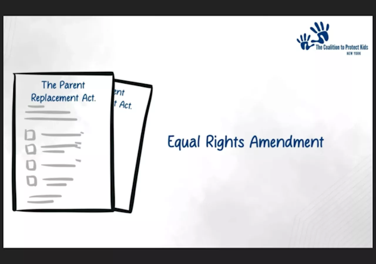 Court Throws DEI Amendment to NY Constitution, Opposed By Equal Protection Project, Off November Ballot