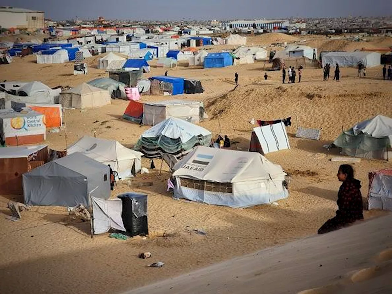 ‘Flayed rams hang above our sleep’ as disasters deprive us of our peace
