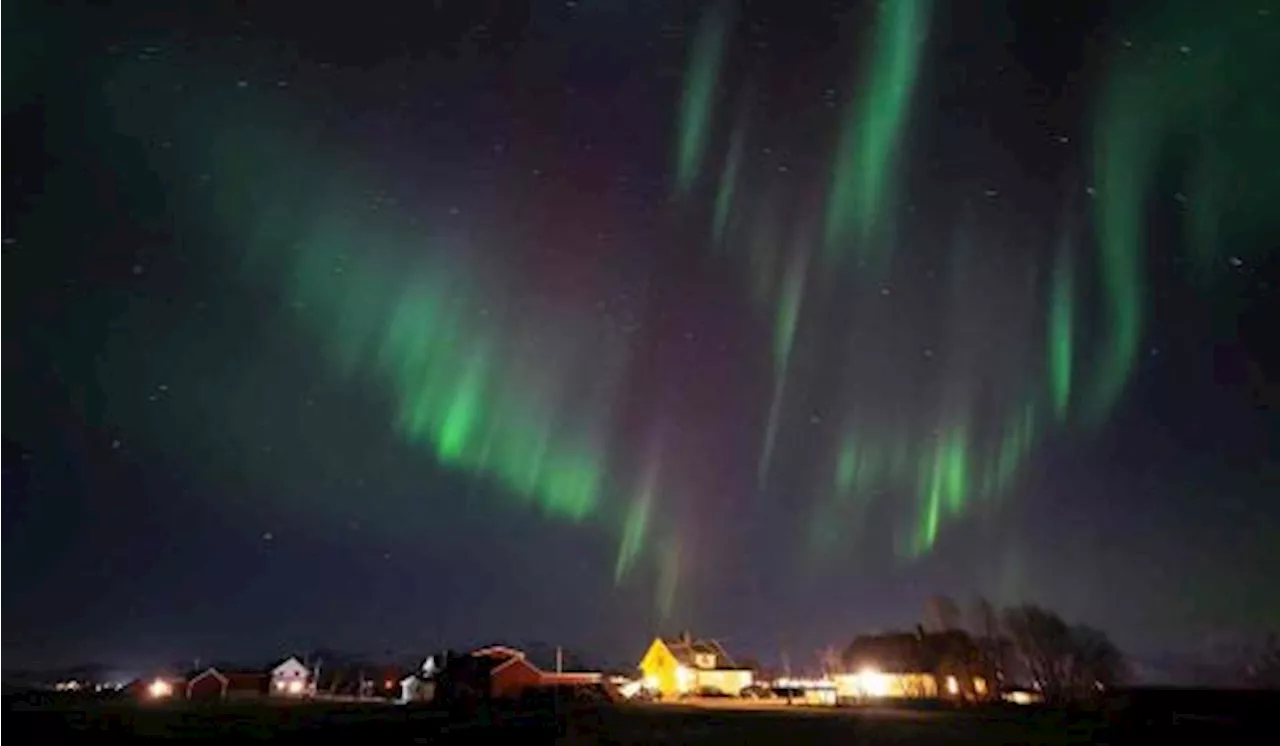 Fenomena Aurora Borealis di Langit Eropa, Apa Bedanya dengan Aurora Australis