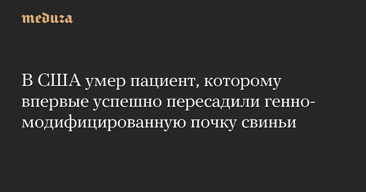 В США умер пациент, которому впервые успешно пересадили генно-модифицированную почку свиньи — Meduza